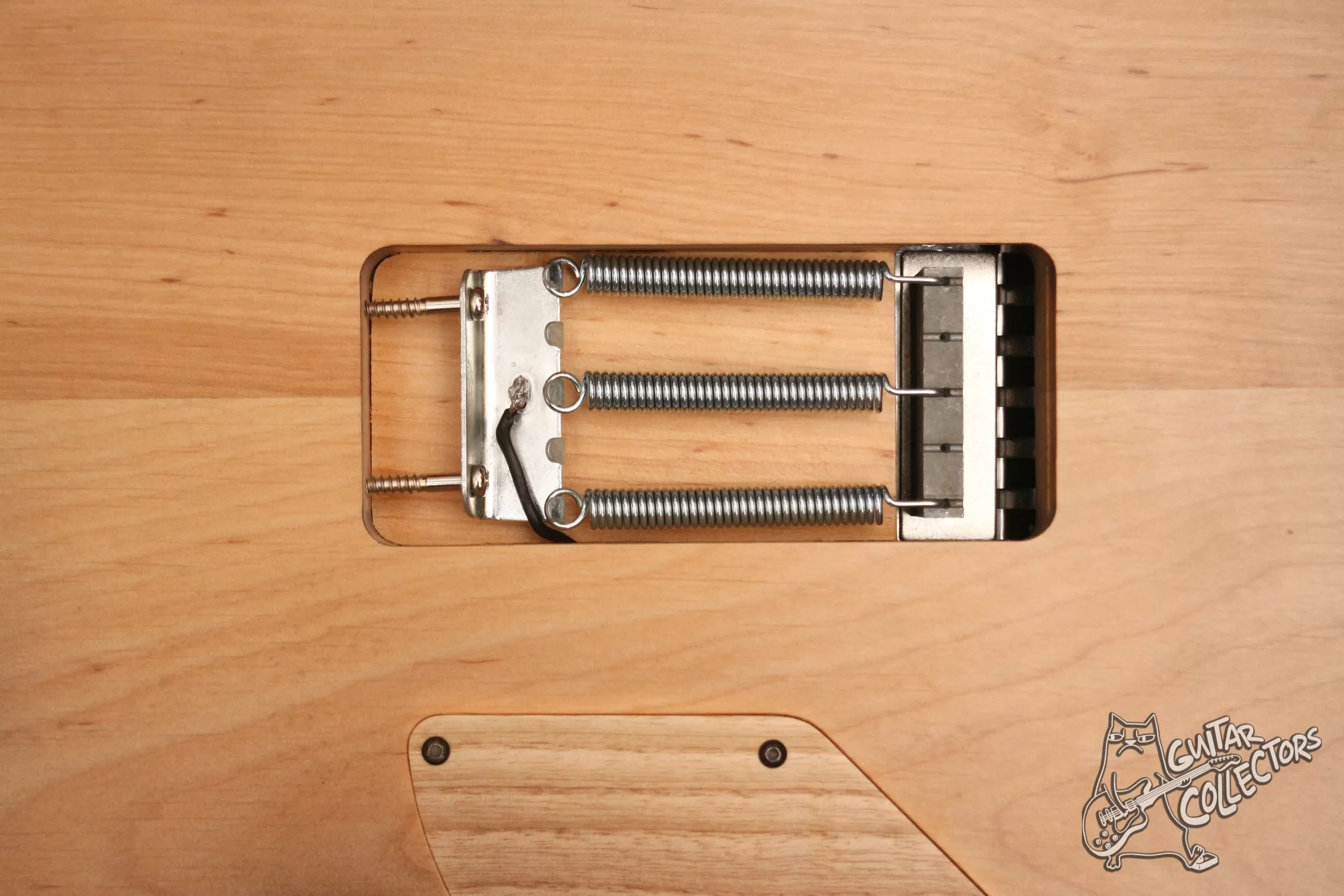 NS Guitars Strat Spirit