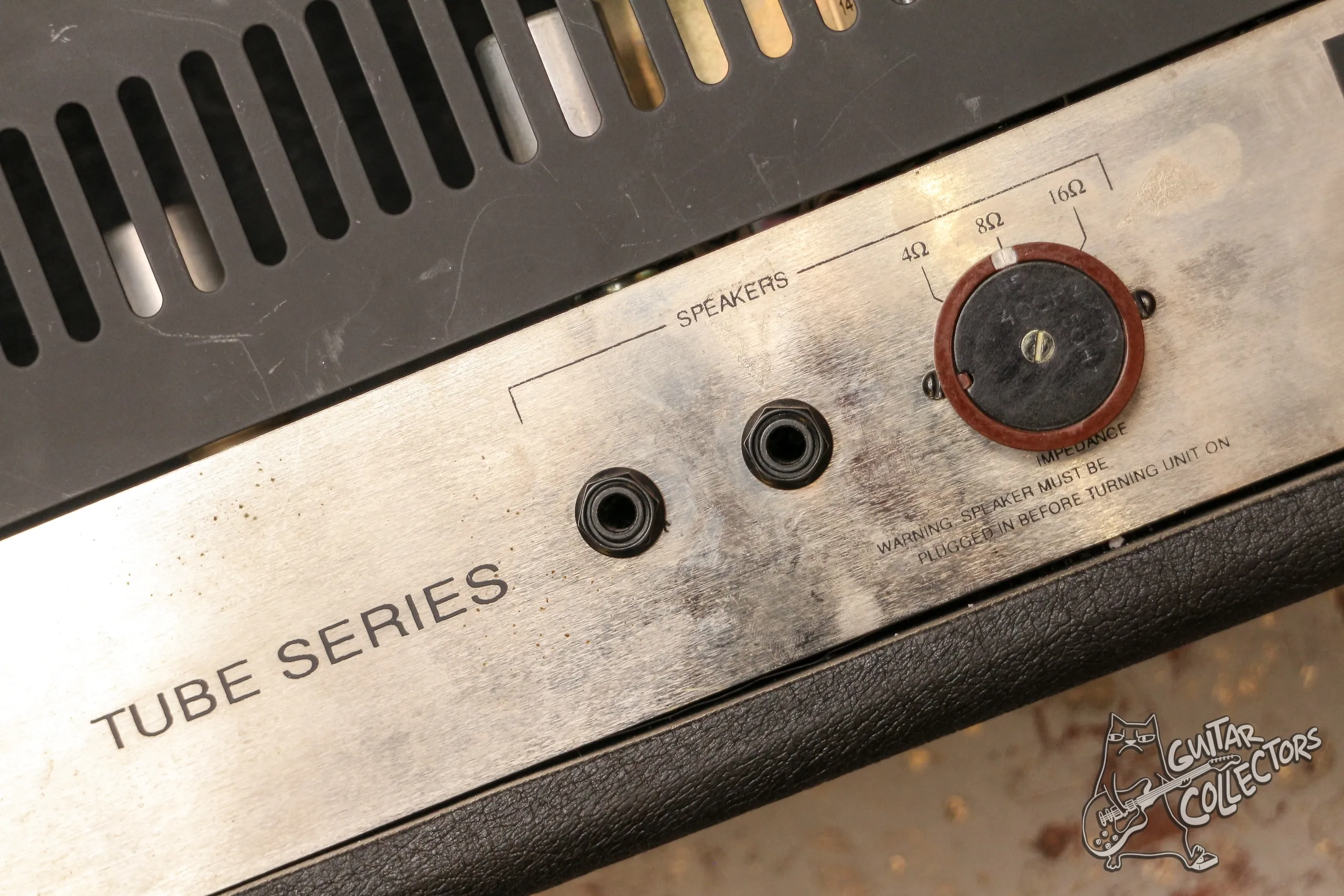 Petersburg P 100 Guitar 100W Tube Head