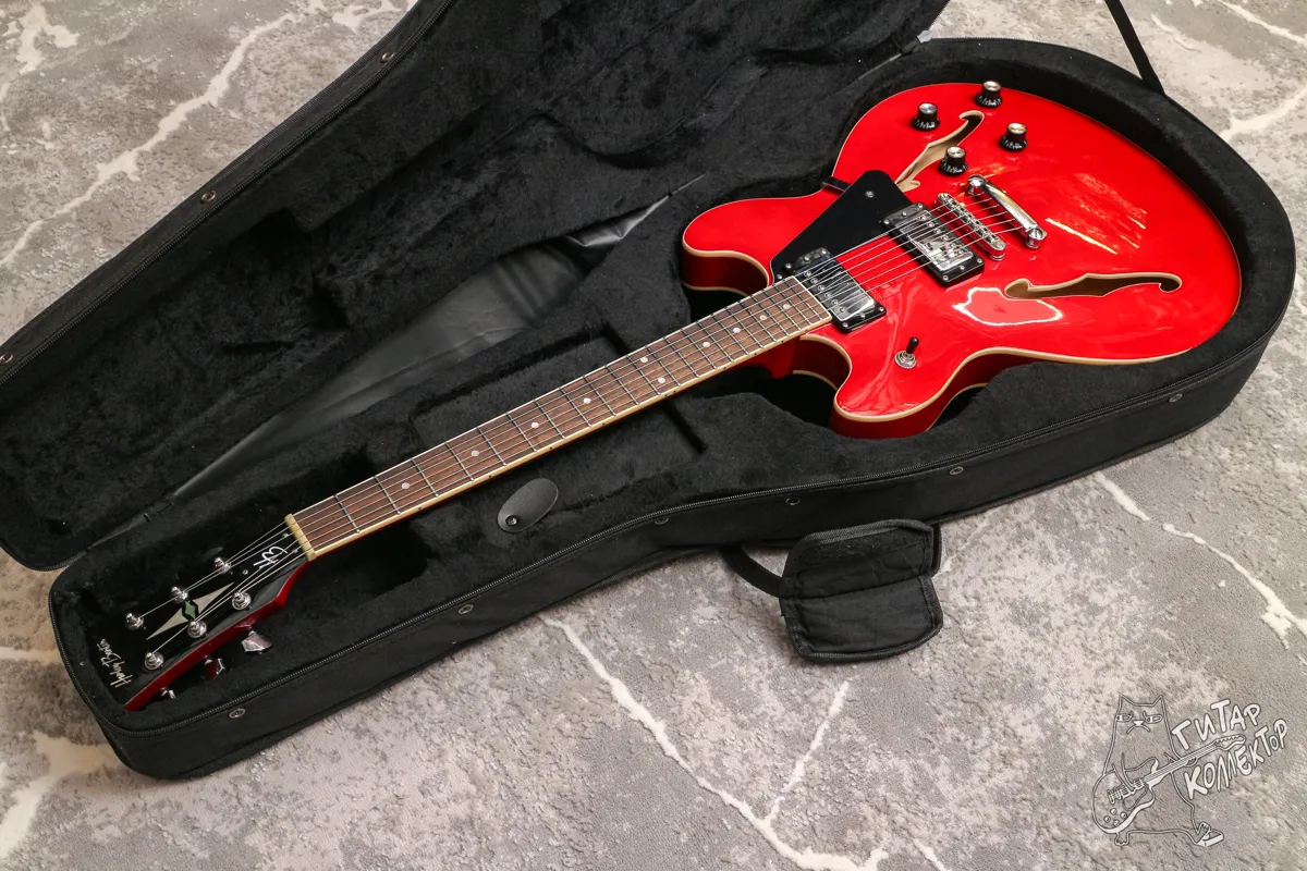 Кейс  Чехол под банку  Полуакустику