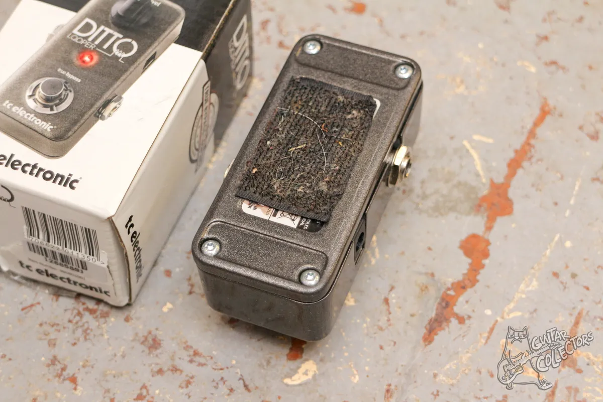 TC Electronic Ditto looper