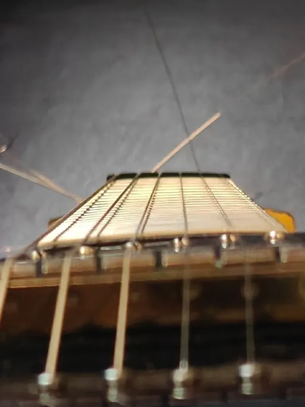 Schecter SGR C-1
