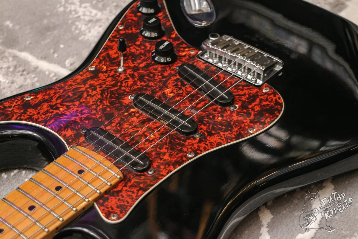 Bill Lawrence Swamp Kaster S Stratocaster