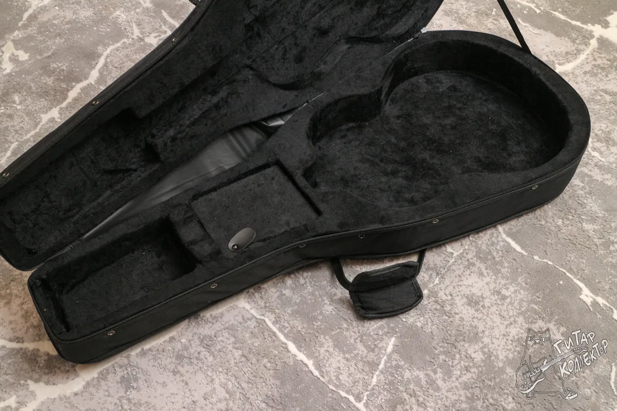 Кейс  Чехол под банку  Полуакустику