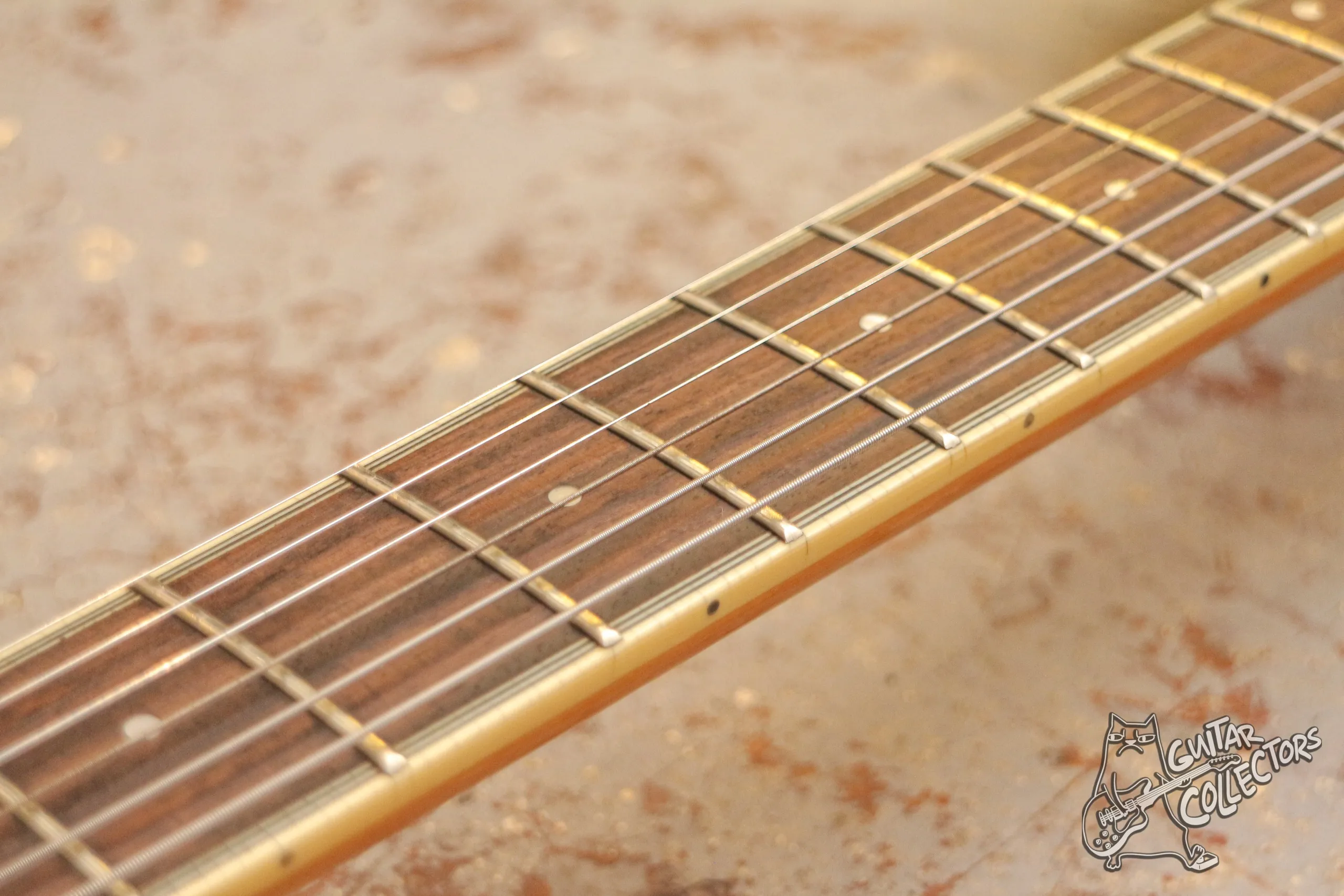 Aria Pro II Titan Artist TA-65 VSB