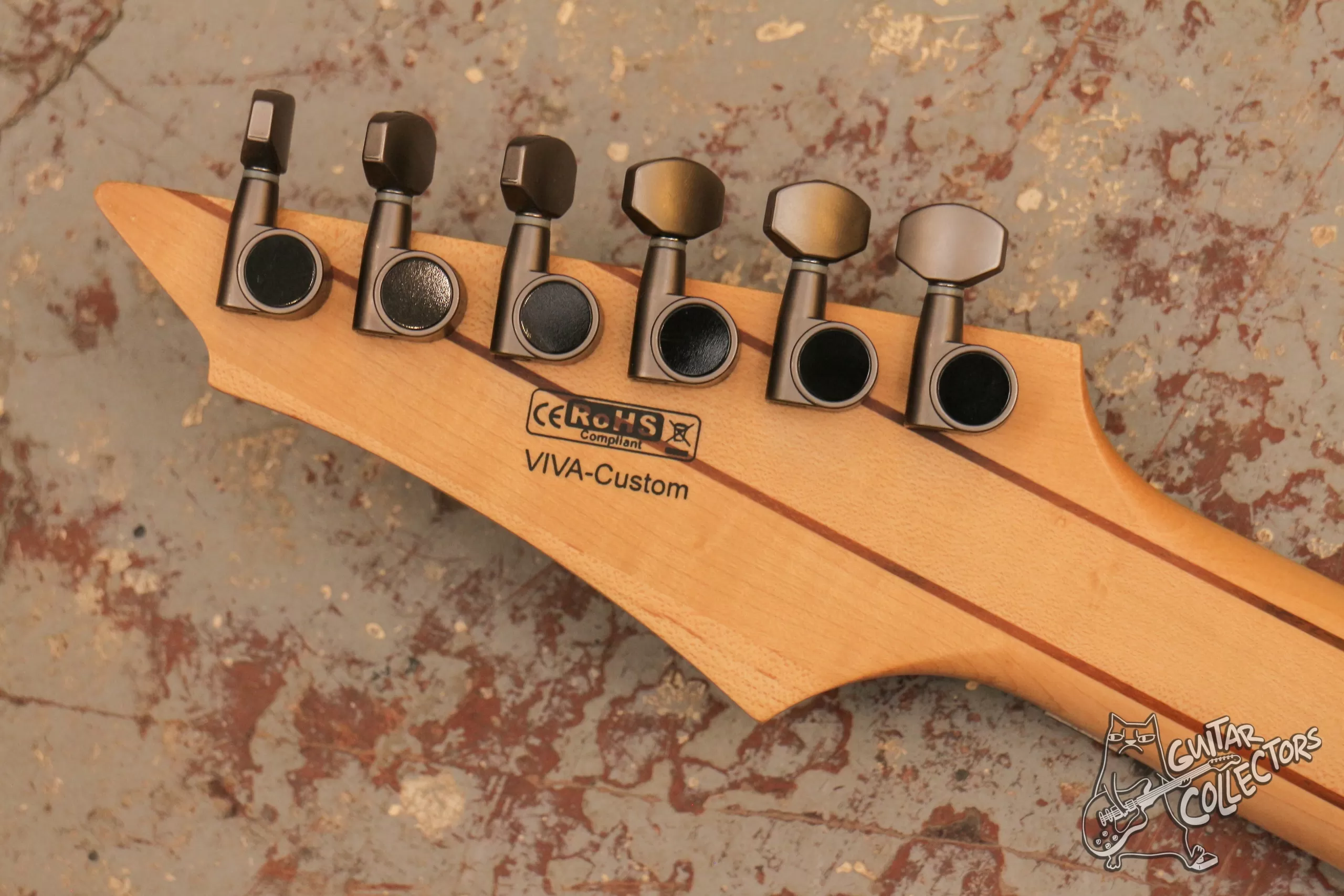 Cort Viva Custom