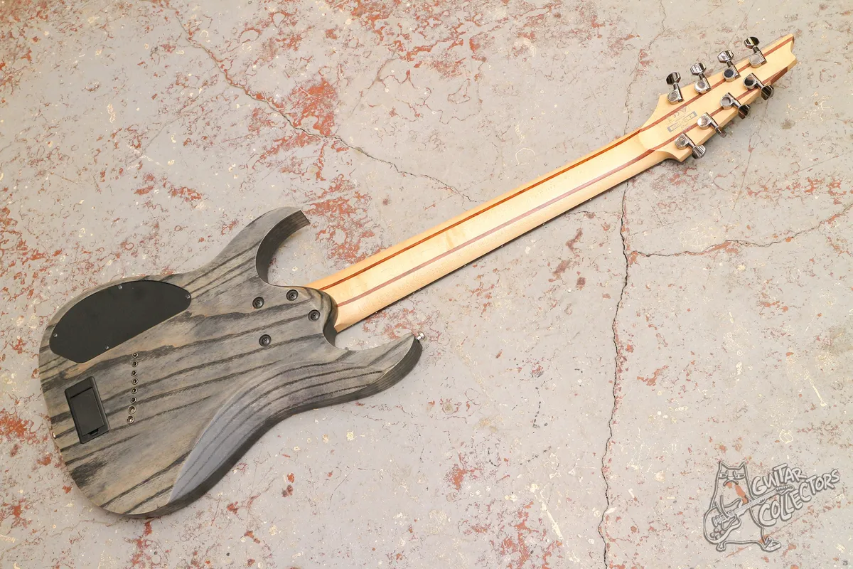 Ibanez RGIF8 Iron Label Fanned Fret Scalloped 8-Str