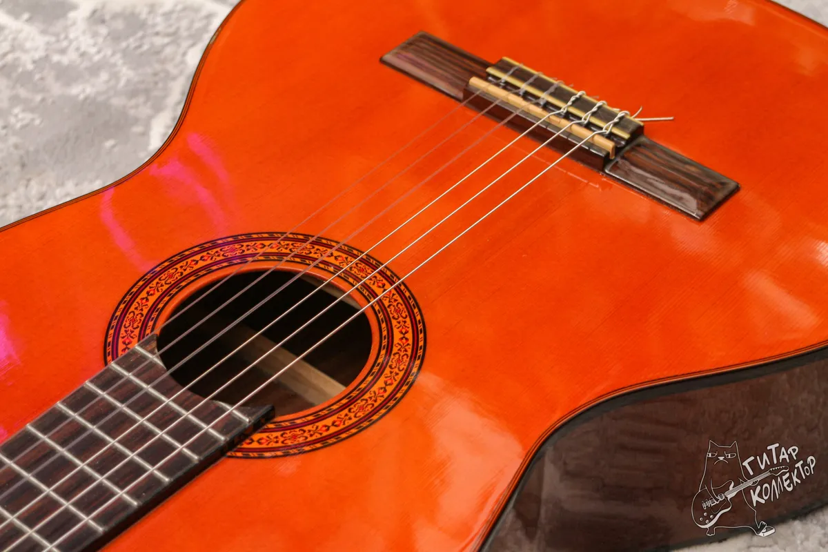 Washburn C5 Classical Guitar 4/4
