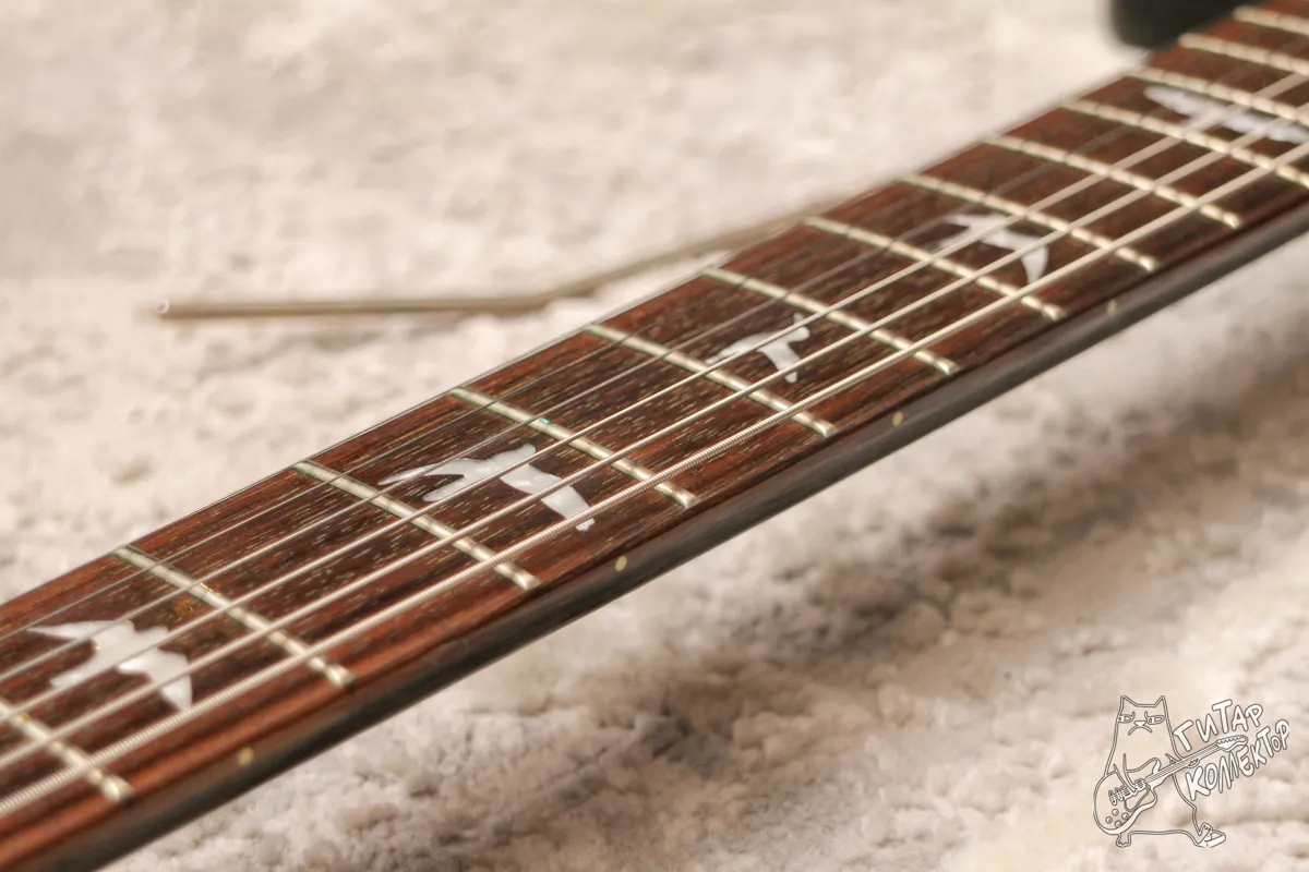 PRS SE Custom 24