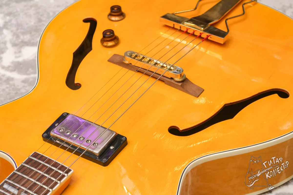 Burny RFA-65 Archtop Jazz Guitar