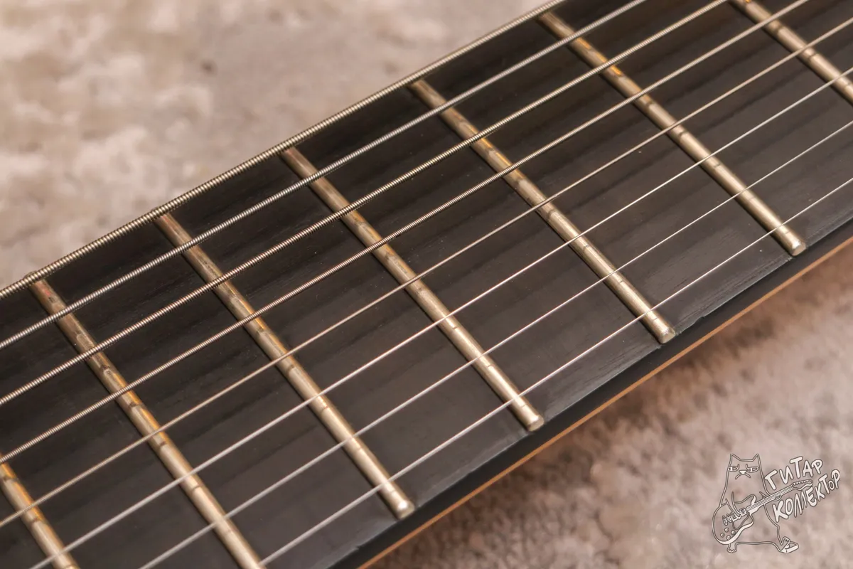 Ibanez RGIX28FEQM Iron Label 8-Str