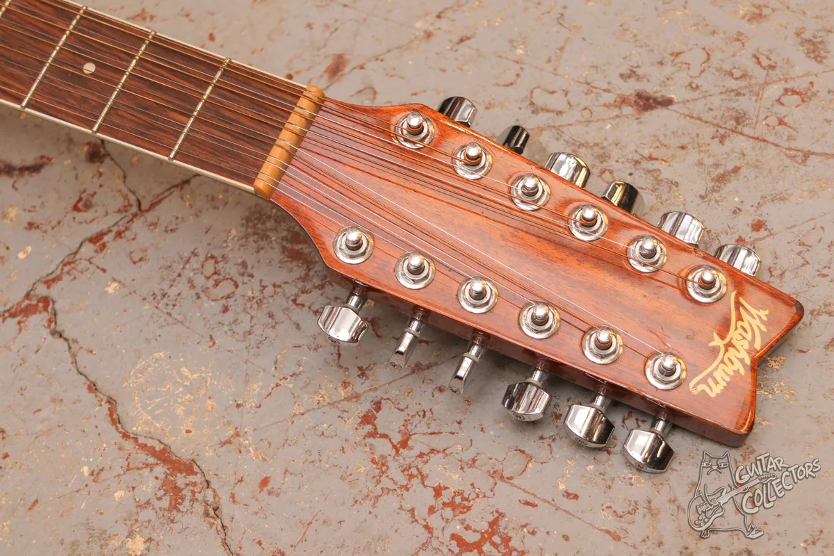 Washburn D10S 12-str + Tonewood amp