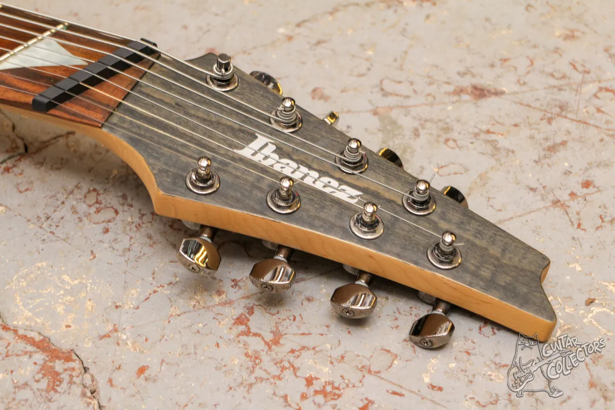 Ibanez RGIF8 Iron Label Fanned Fret Scalloped 8-Str