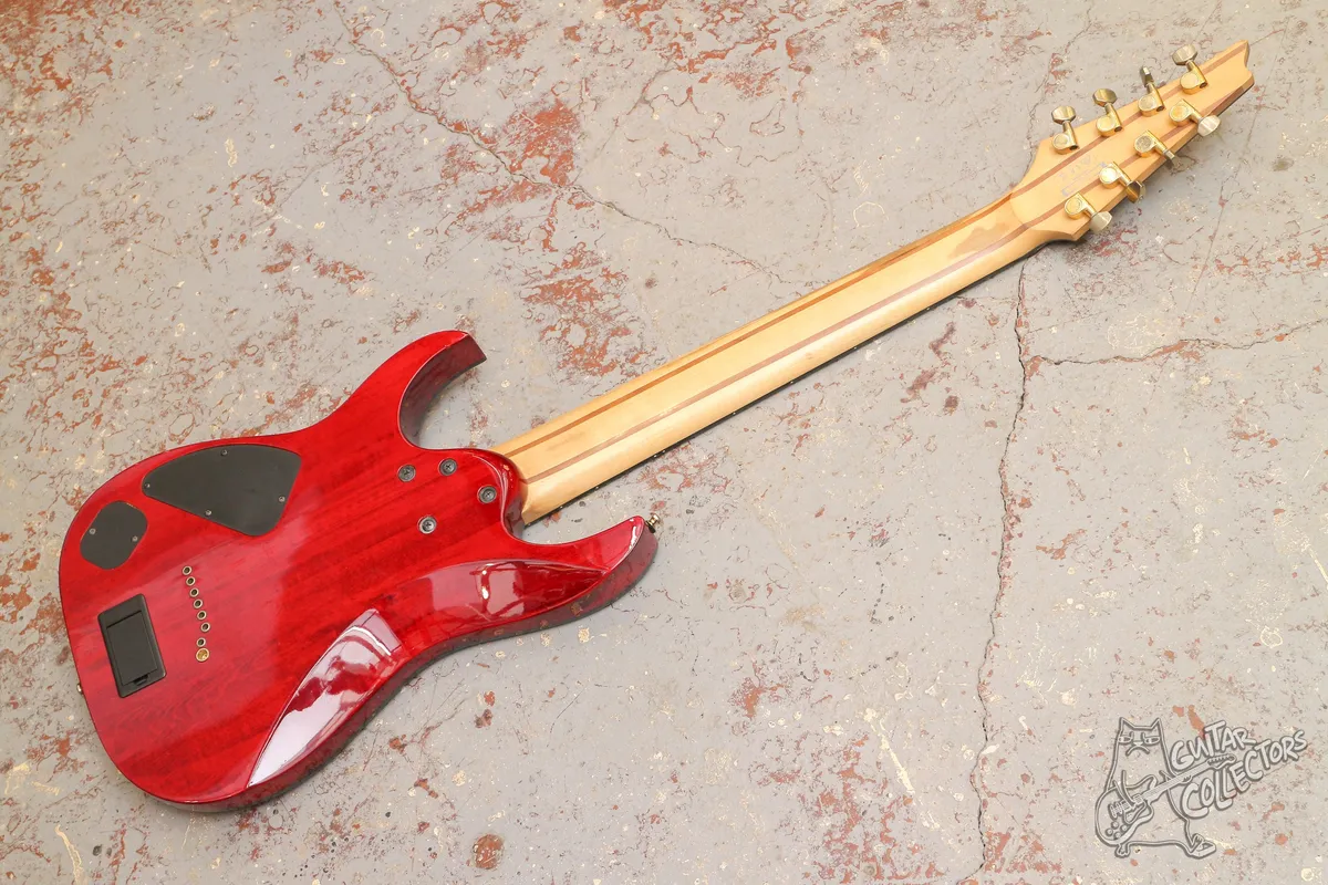 Ibanez RGIX28FEQM Iron Label 8-Str