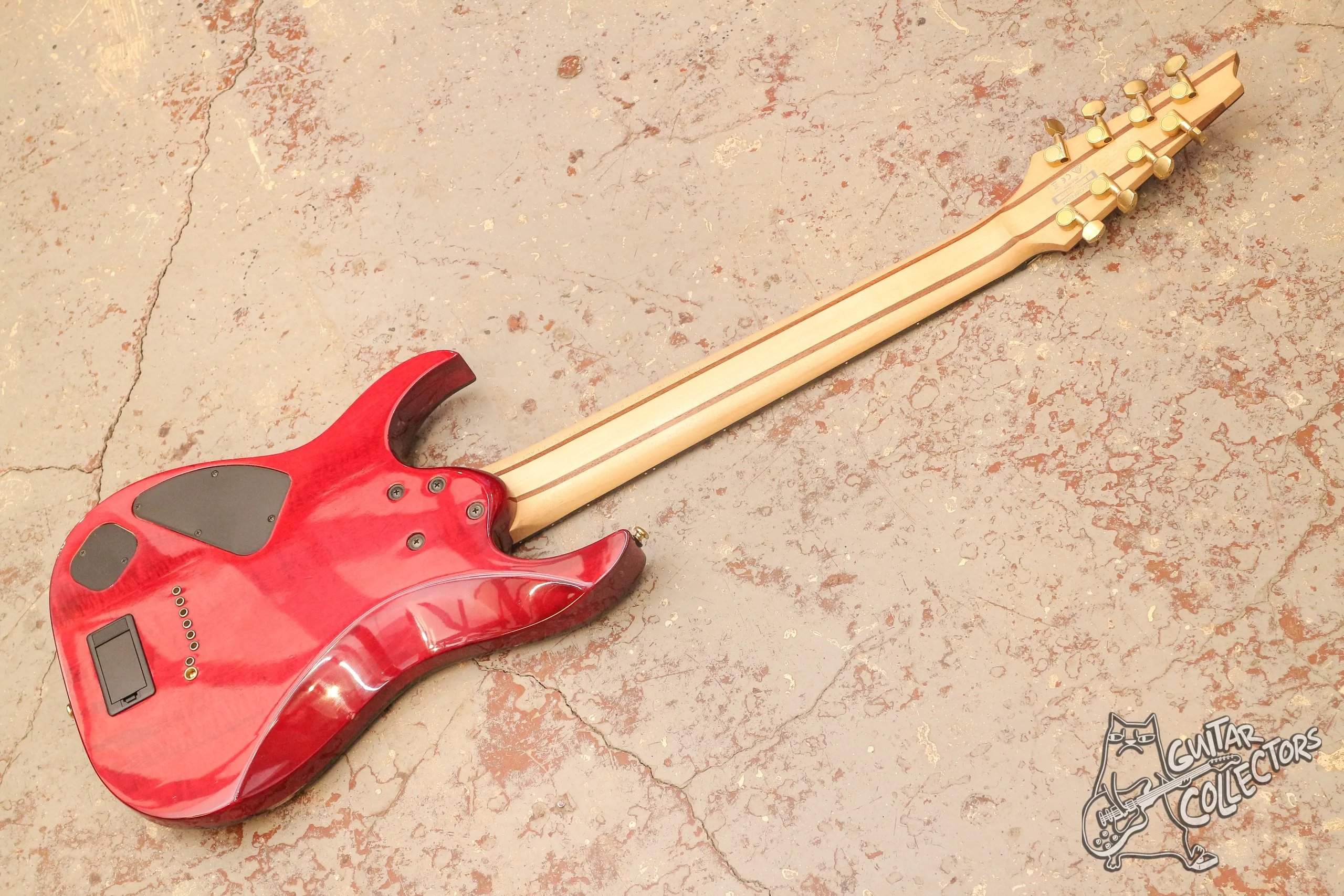 Ibanez RGIX28FEQM Iron Label 8-Str