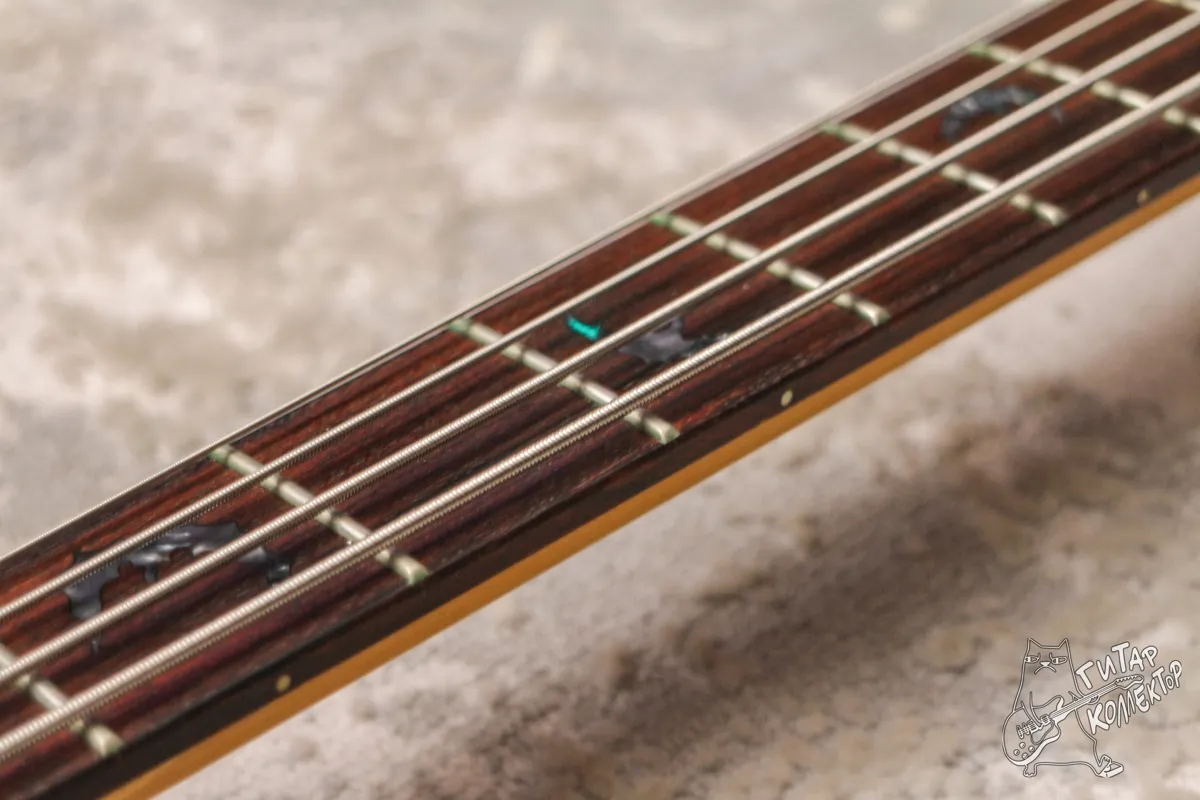Schecter Damien 4 Bass