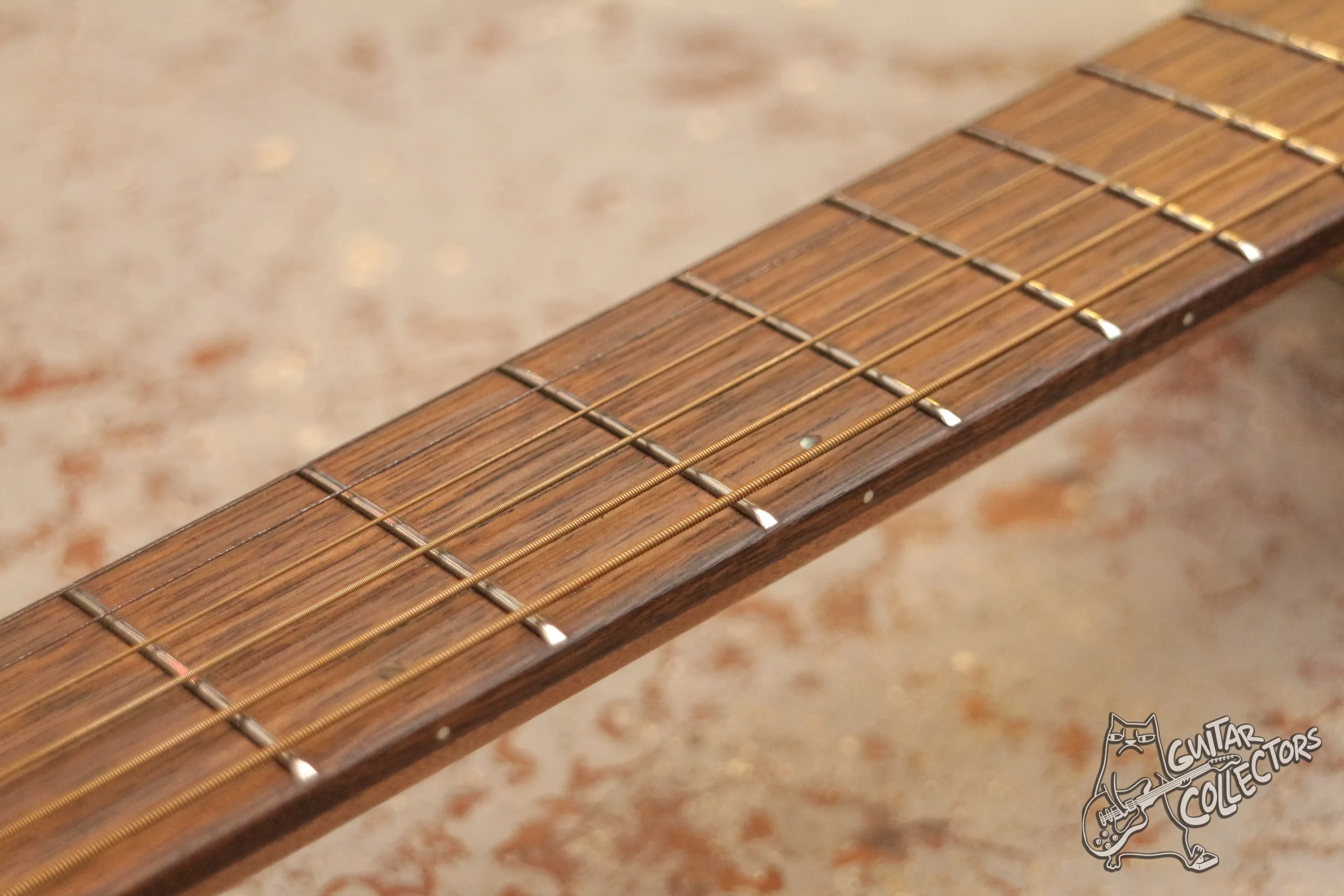 Baton Rouge X11S/OM + Fishman