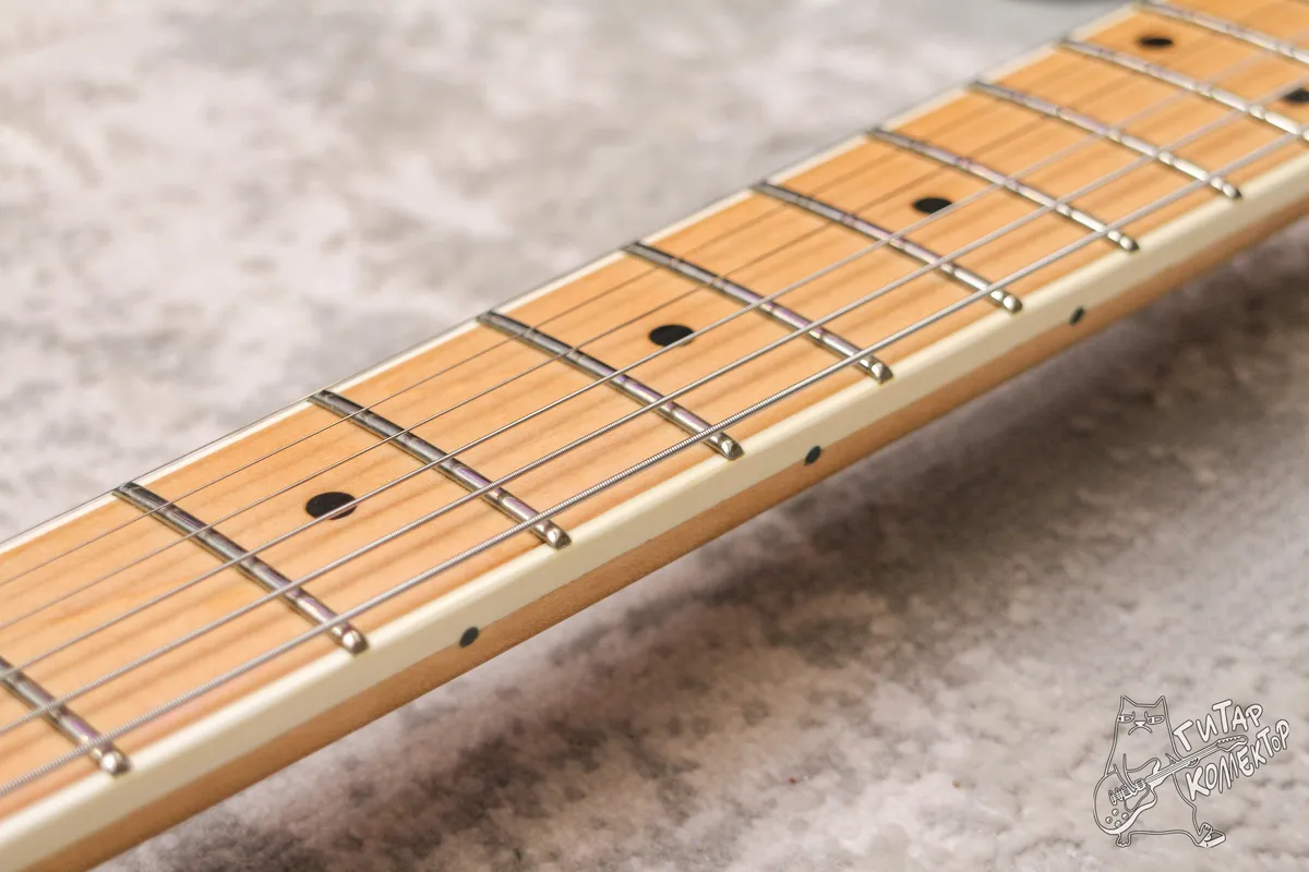 NS Guitars Telecaster Daphne Blue Relic