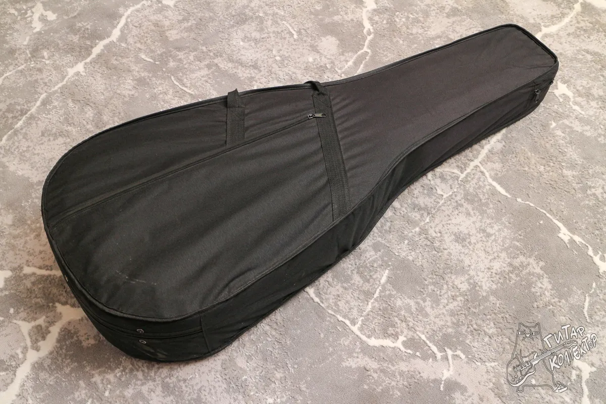 Кейс  Чехол под банку  Полуакустику