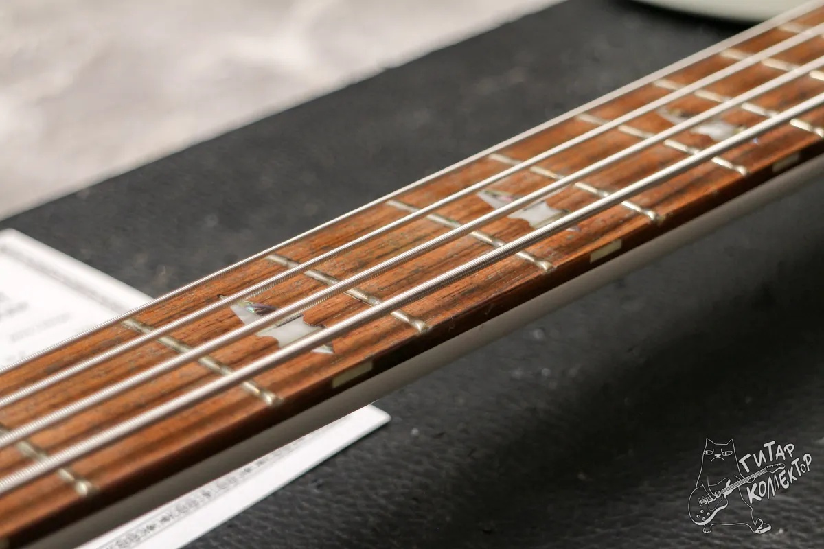 Dean Spire BVB Ashley Purdy Warpaint Bass