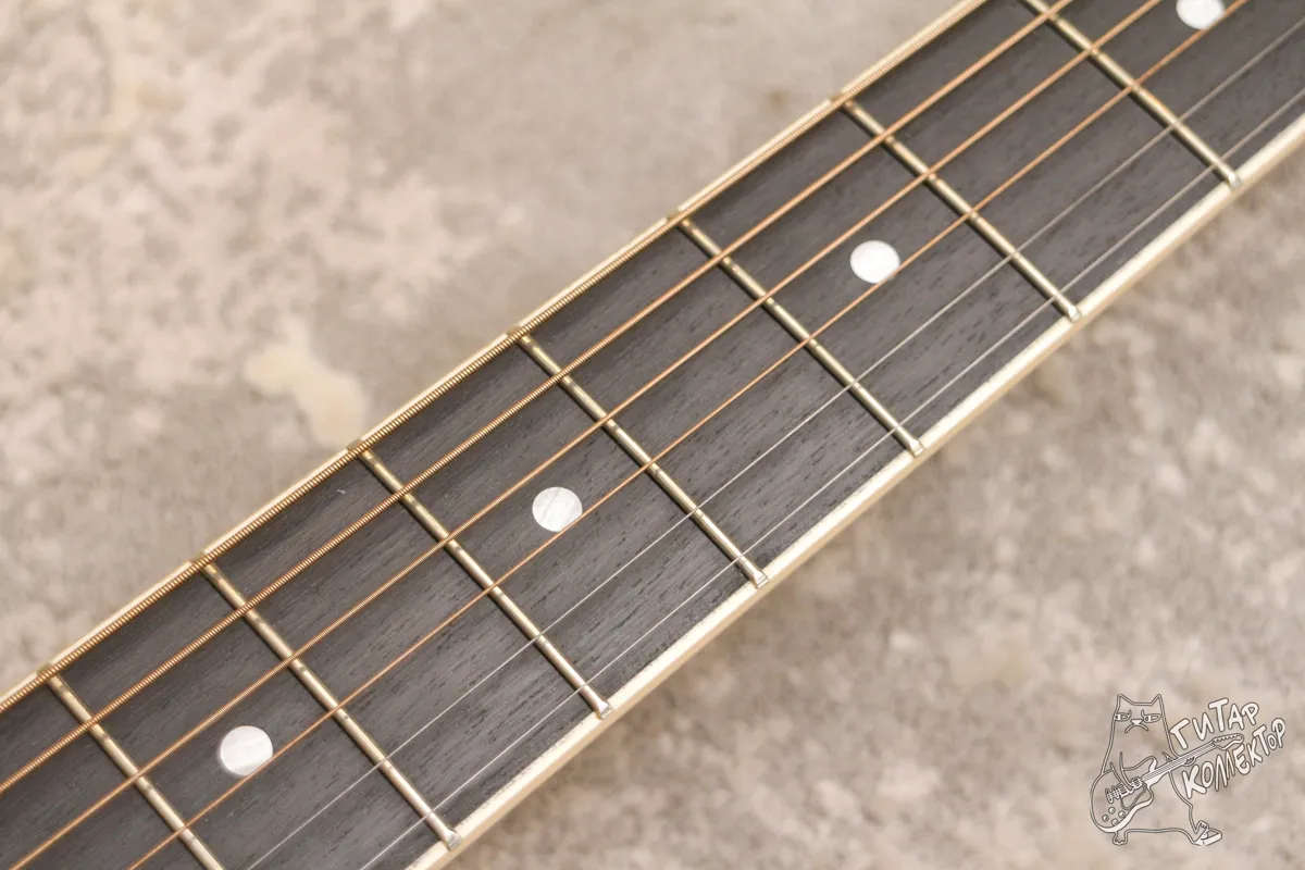 Ibanez Talman TCY10E Black