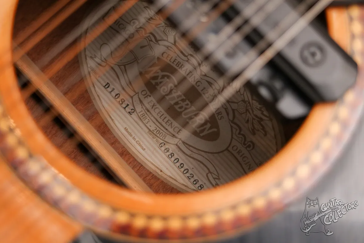 Washburn D10S 12-str + Tonewood amp