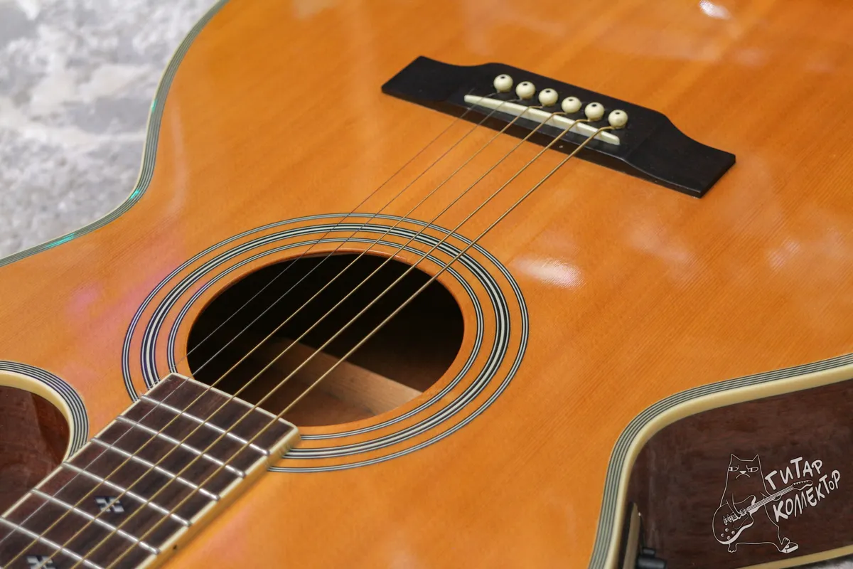 Epiphone PR-5E Natural