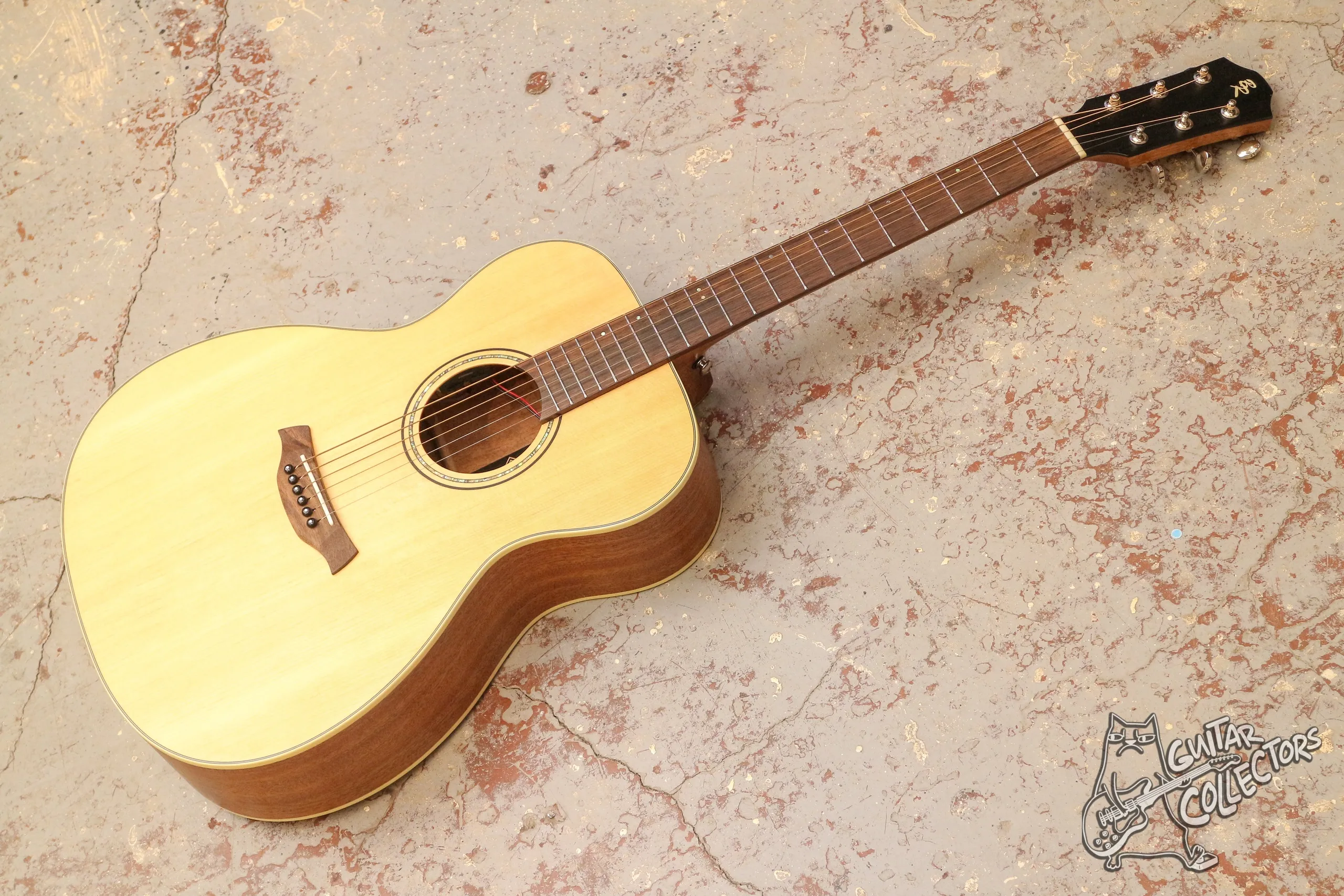 Baton Rouge X11S/OM + Fishman