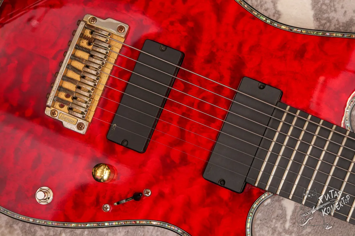 Ibanez RGIX28FEQM Iron Label 8-Str