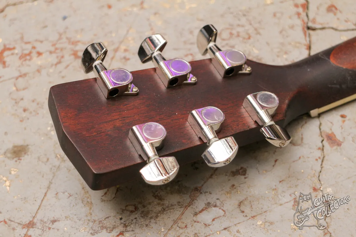 Parkwood W81 OP Dreadnought