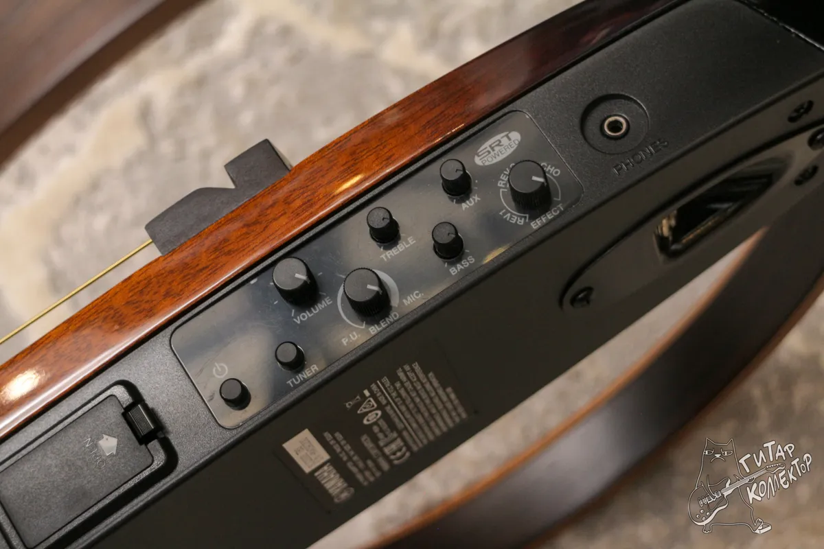 Yamaha Silent SLG200S TBS