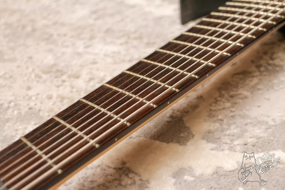 Ibanez RGIF8 Iron Label Fanned Fret Black Stained