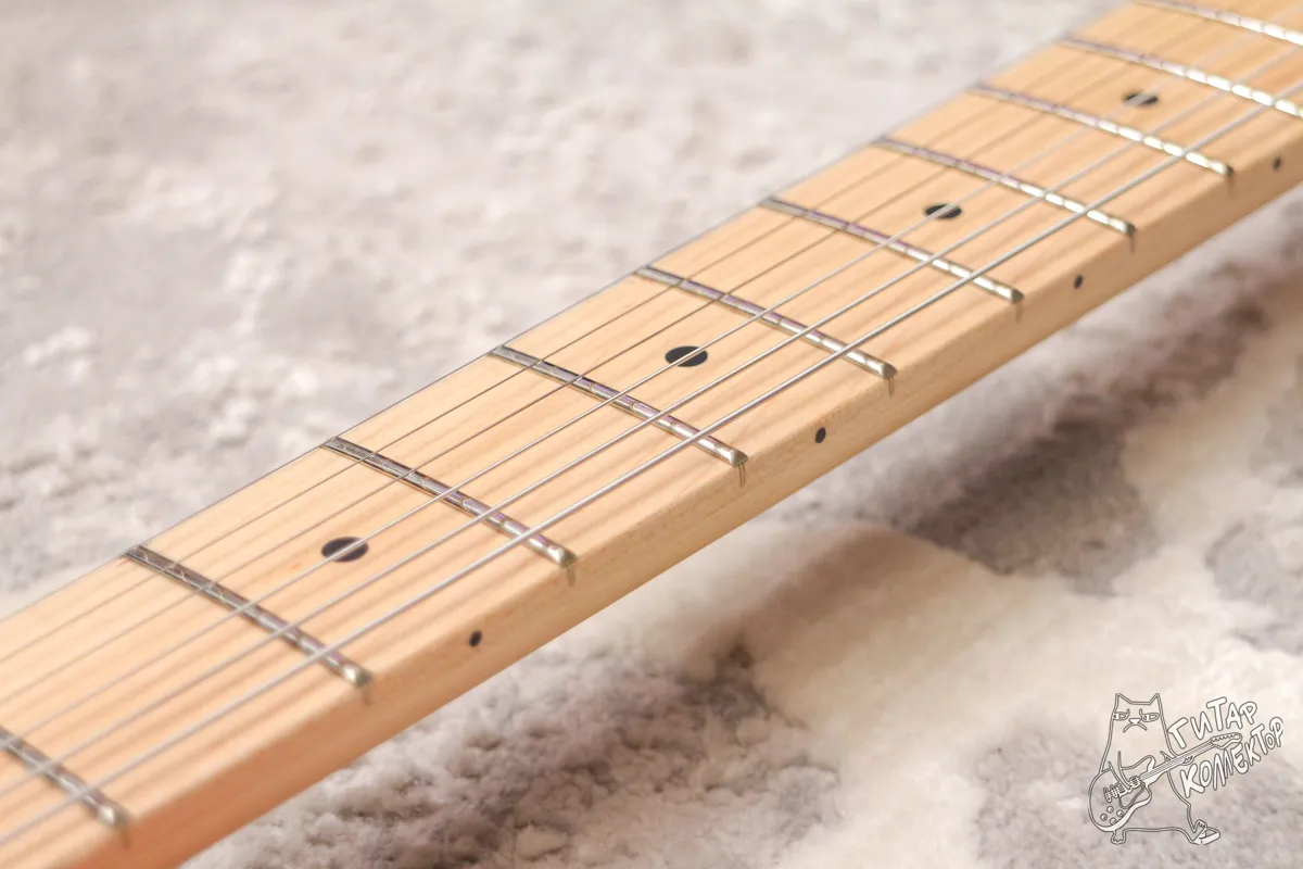 Harley Benton TE-20MN CA Telecaster Standard Series NEW
