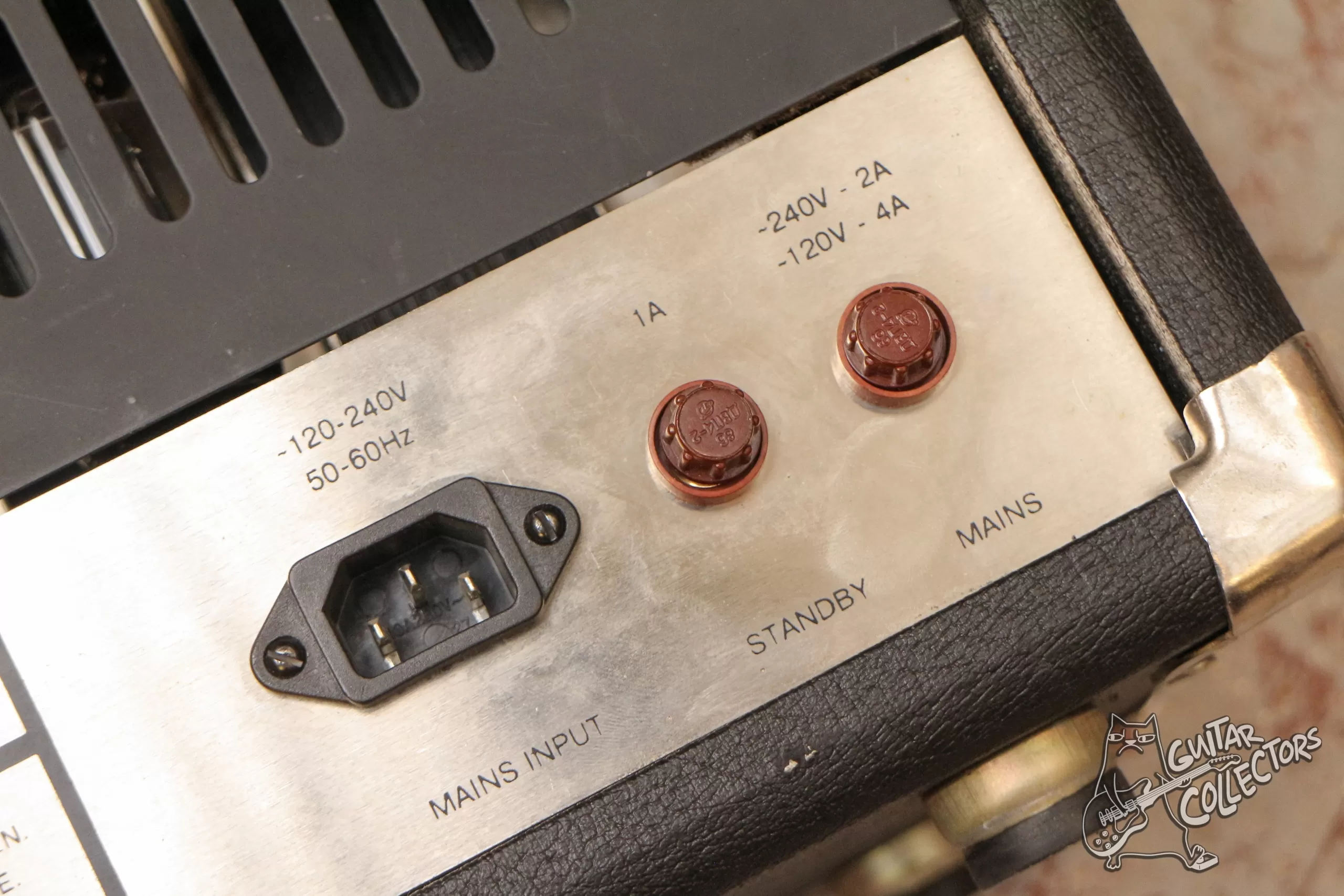 Petersburg P 100 Guitar Tube Head