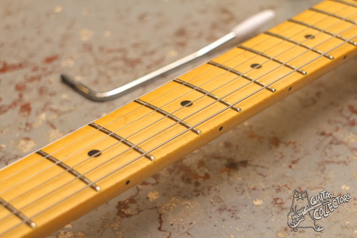 Fender Standard Stratocaster MN Candy Cola NEW