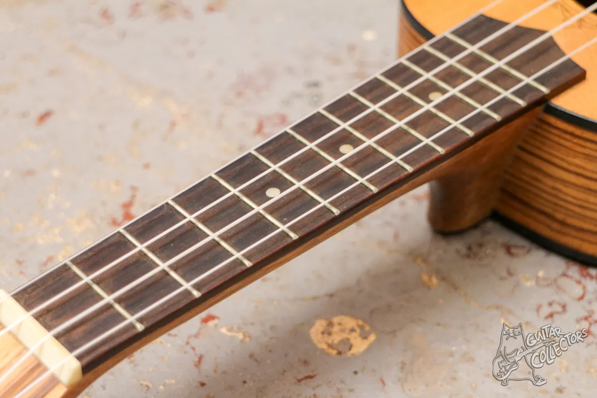 Flight DUS 320 Ukulele