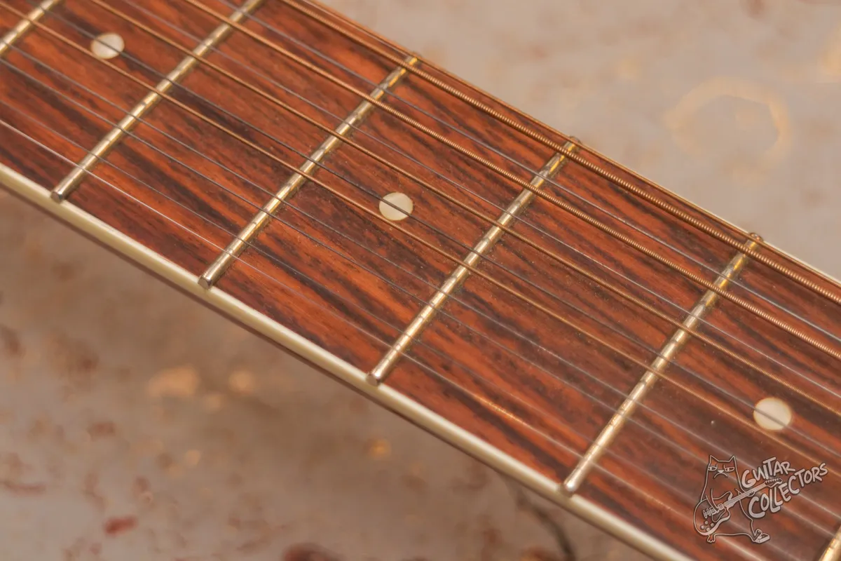 Washburn D10S 12-str + Tonewood amp