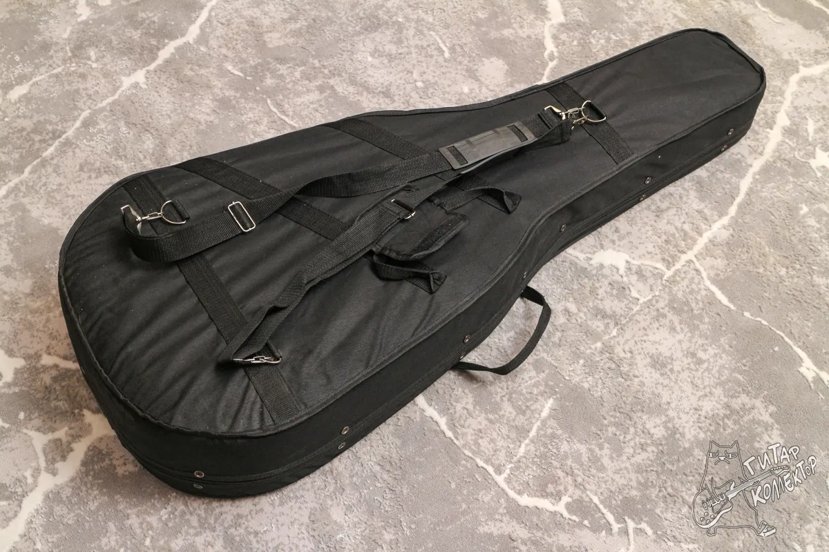 Кейс  Чехол под банку  Полуакустику