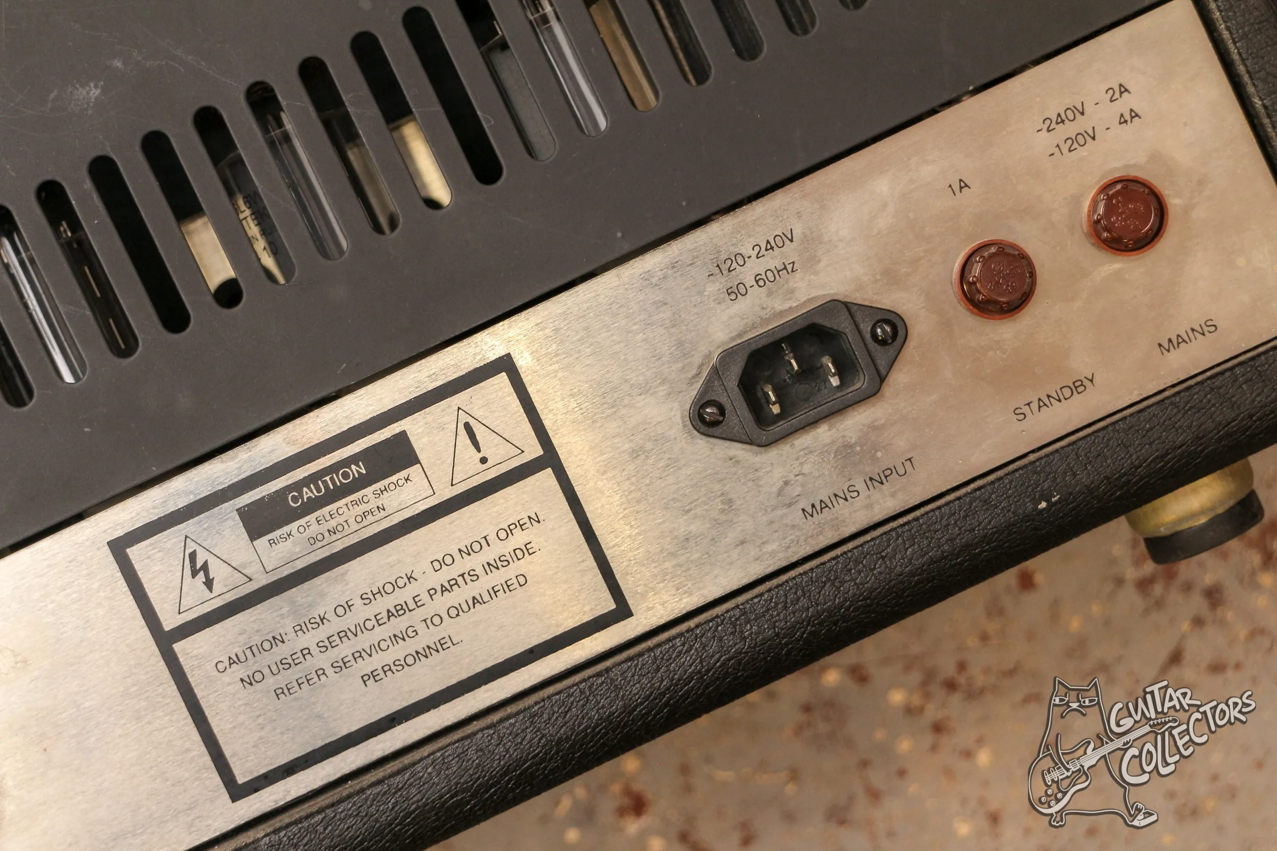 Petersburg P 100 Guitar 100W Tube Head