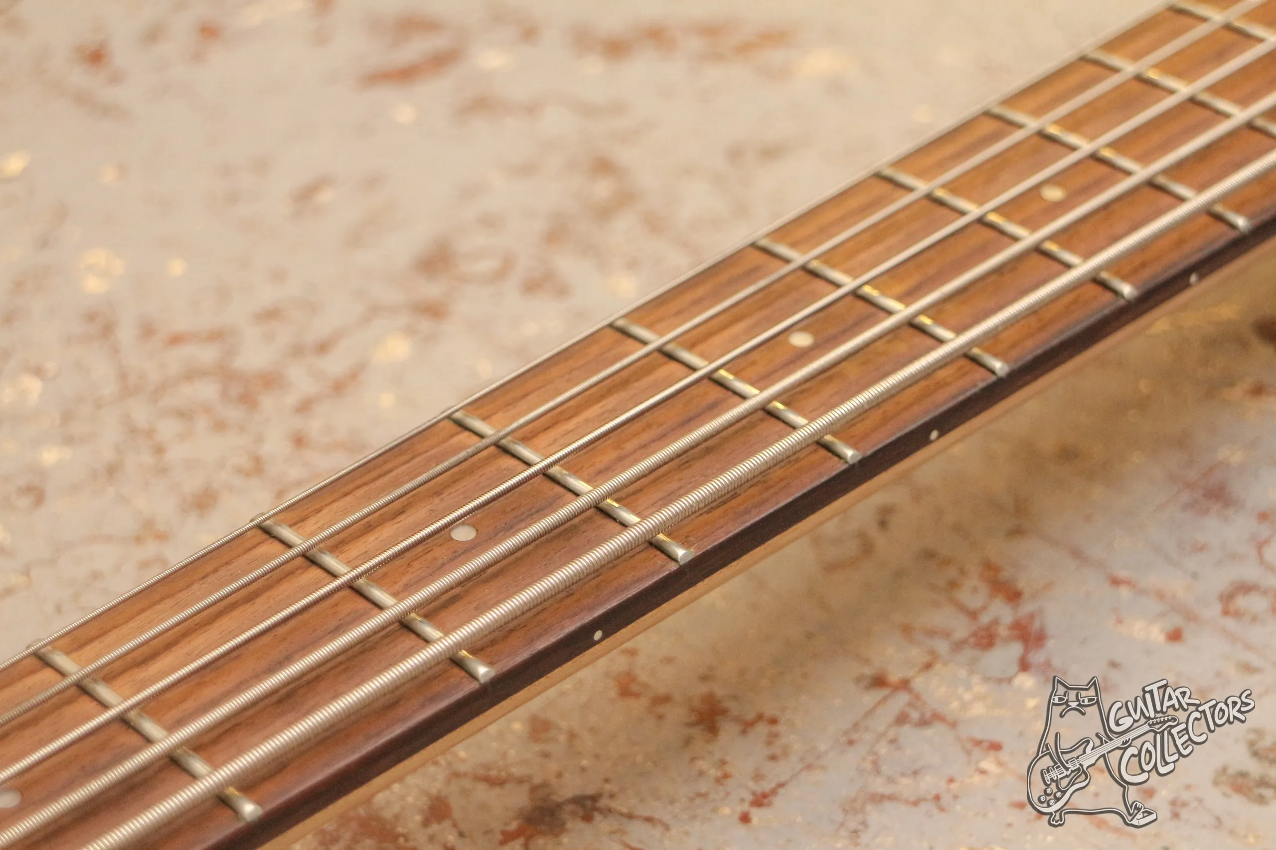 Aria Pro II IGB-STD 5-str Bass
