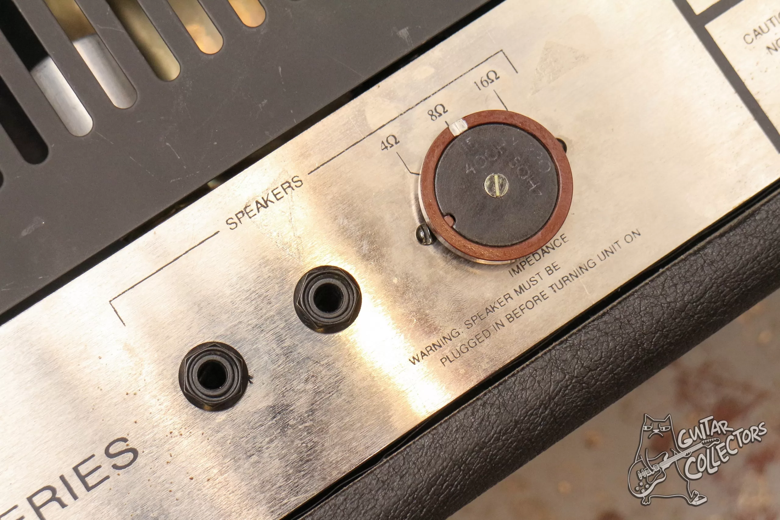 Petersburg P 100 Guitar Tube Head