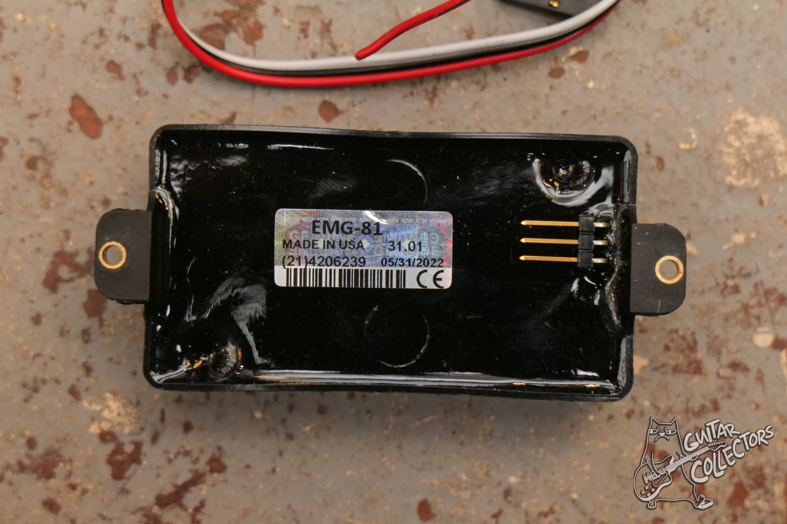 EMG 81