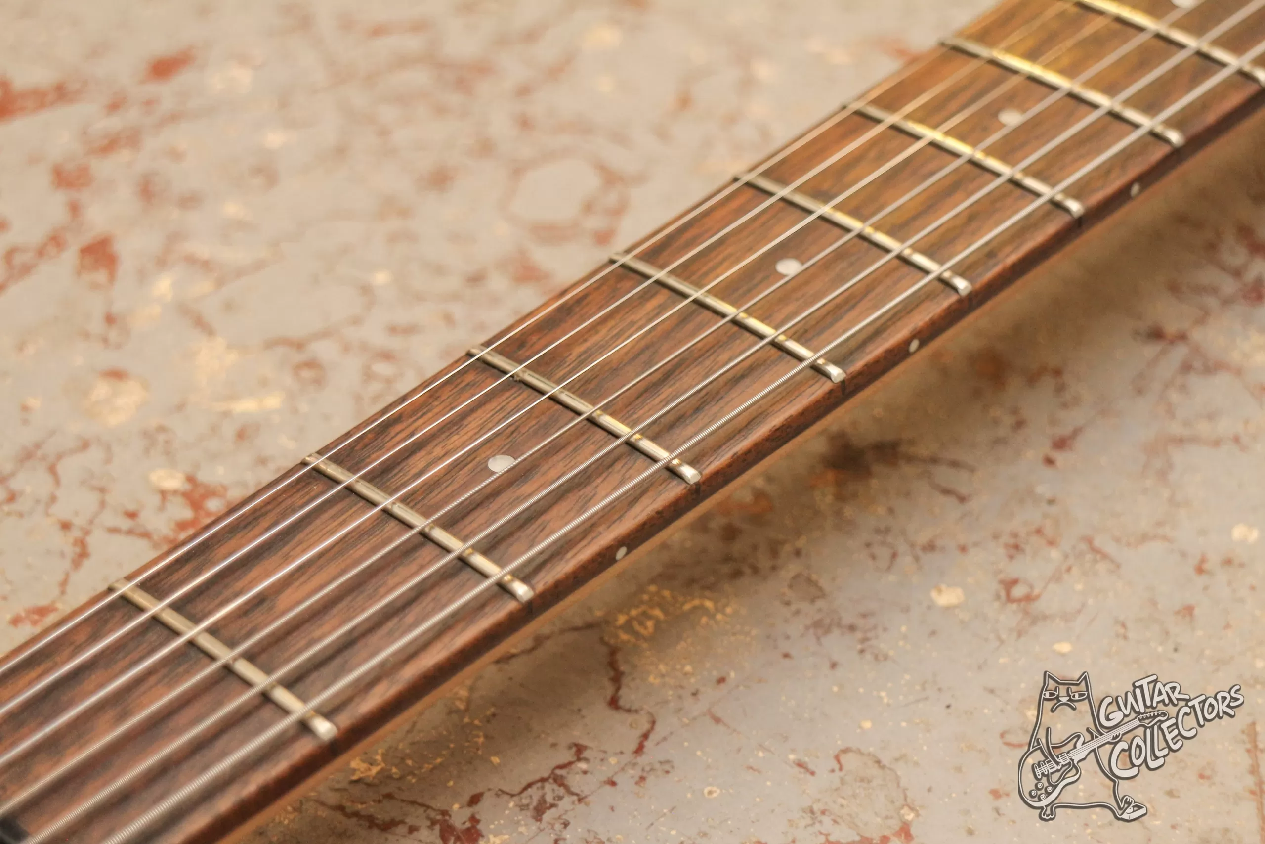 Peavey Predator Hardtail Plus Exp