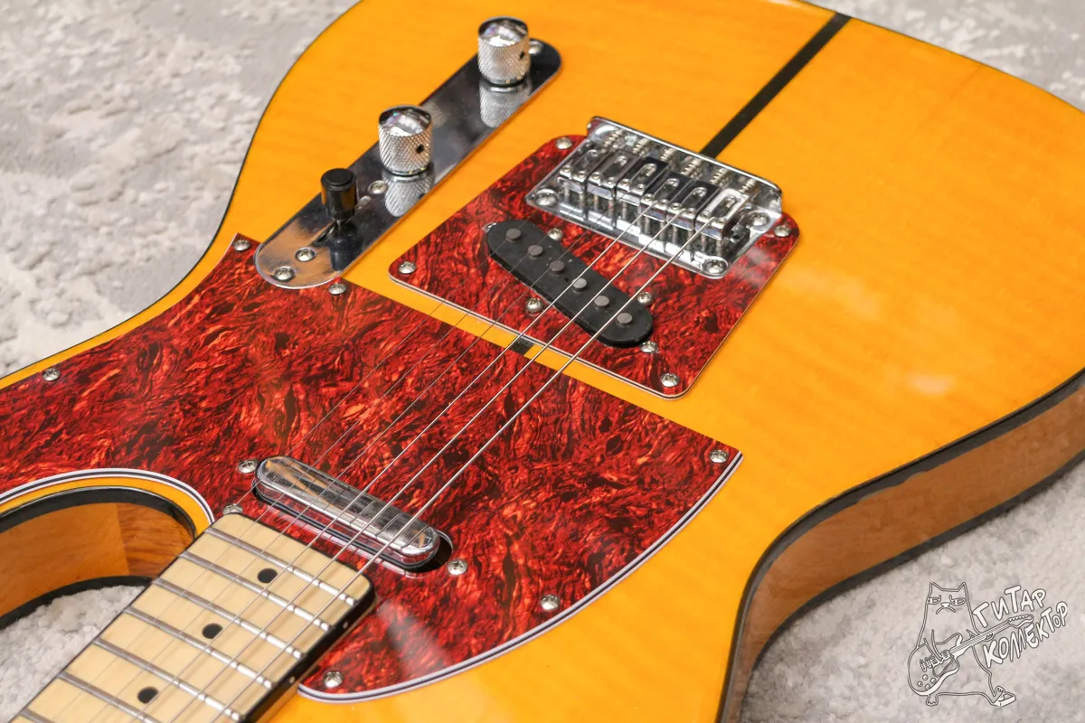 Harley Benton TE-80 NT Deluxe Series
