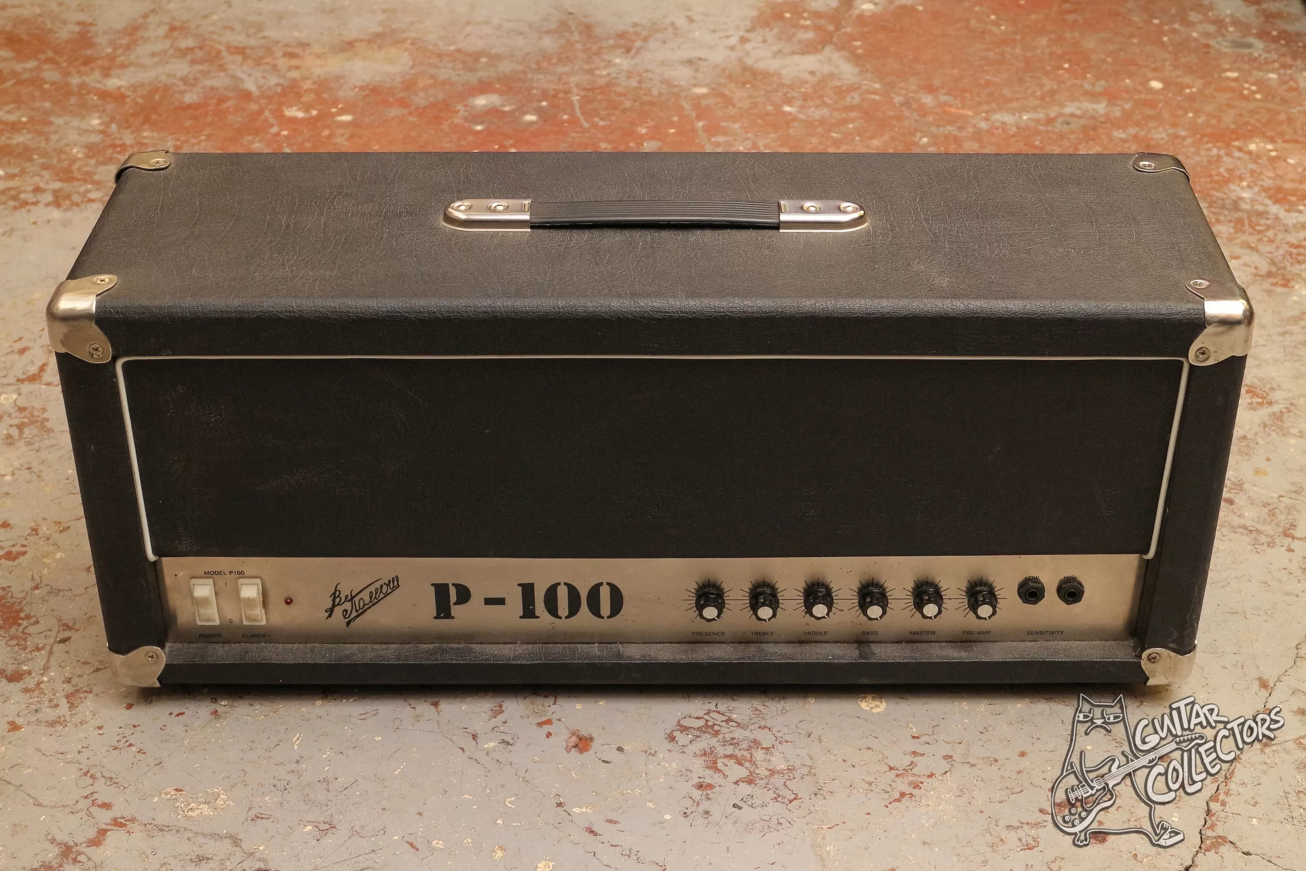 Petersburg P 100 Guitar Tube Head