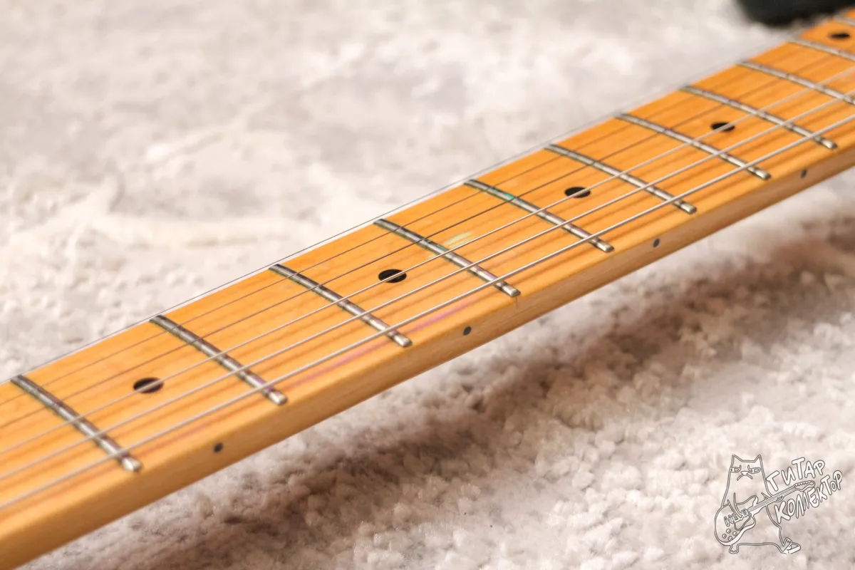 Bill Lawrence Swamp Kaster S Stratocaster