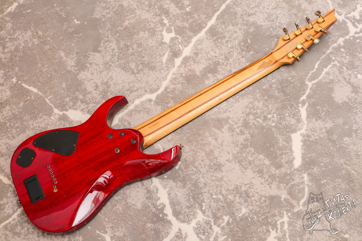 Ibanez RGIX28FEQM Iron Label 8-Str