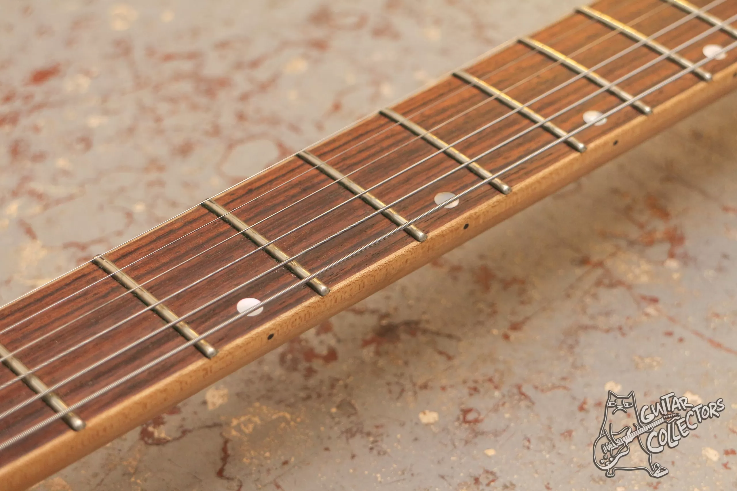 Cort Viva Custom