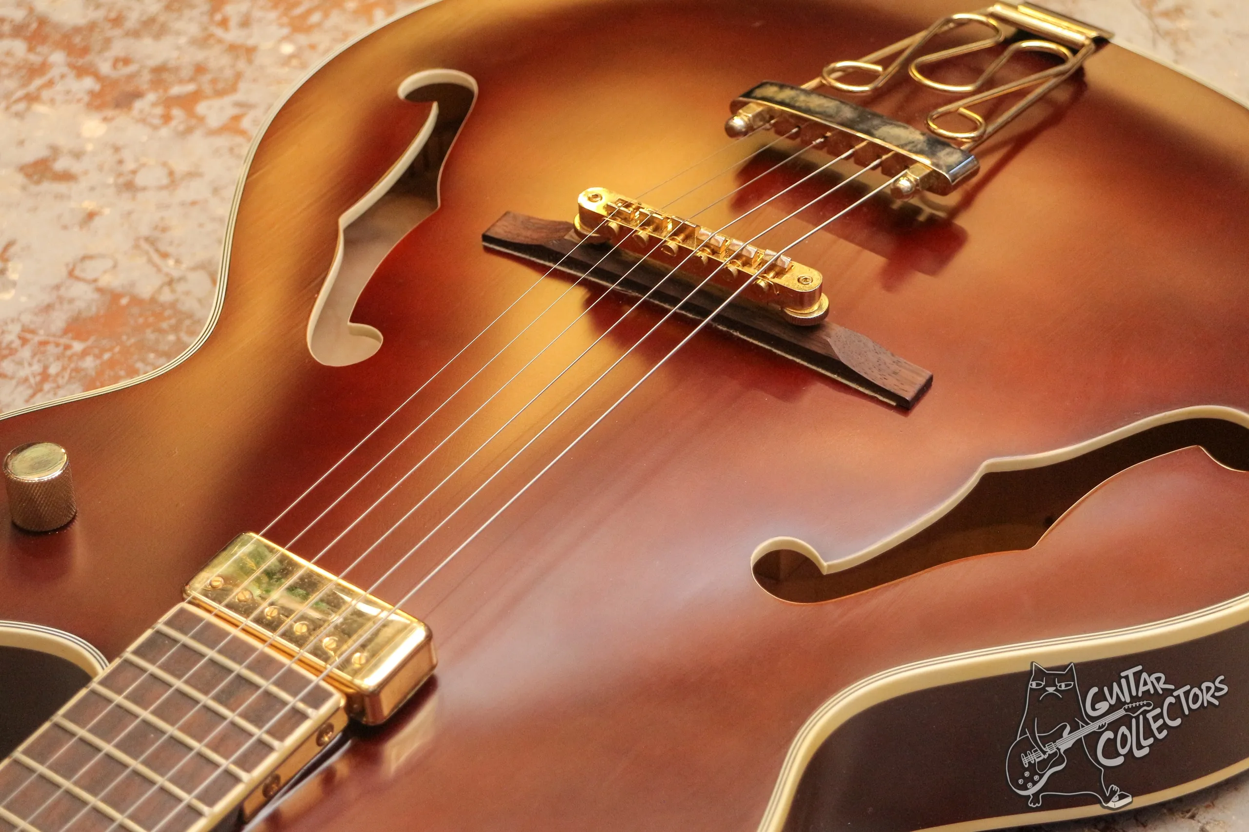 Jay Turser JT-143 Hollow Body Electric Jazz Guitar
