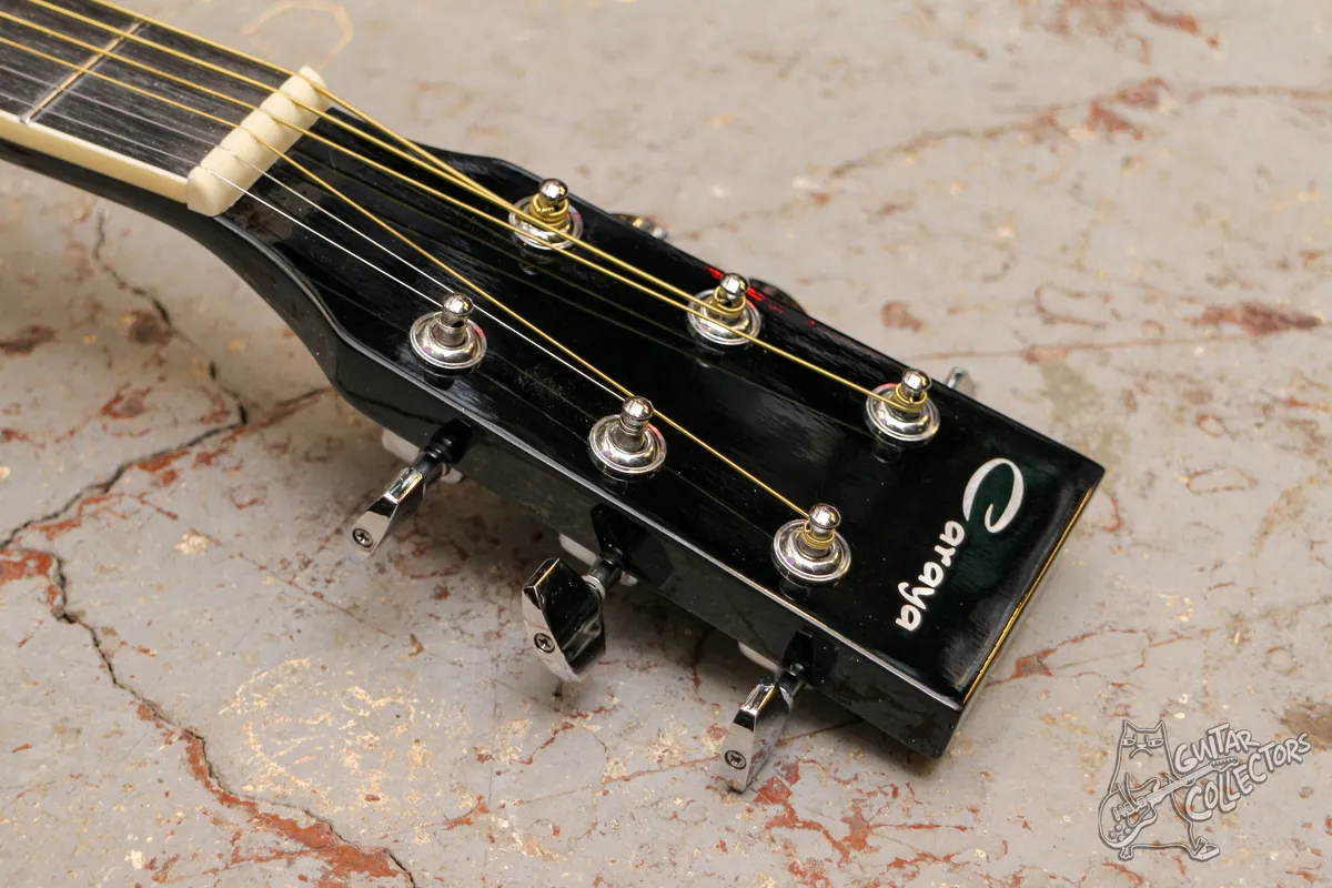 Caraya F600-BK Dreadnought