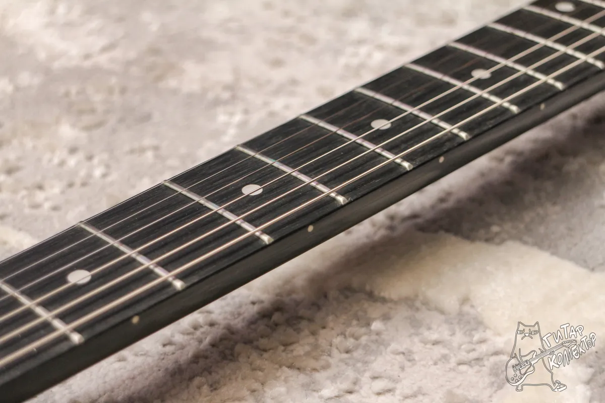 Harley Benton TE-20HH SBK Standard Series